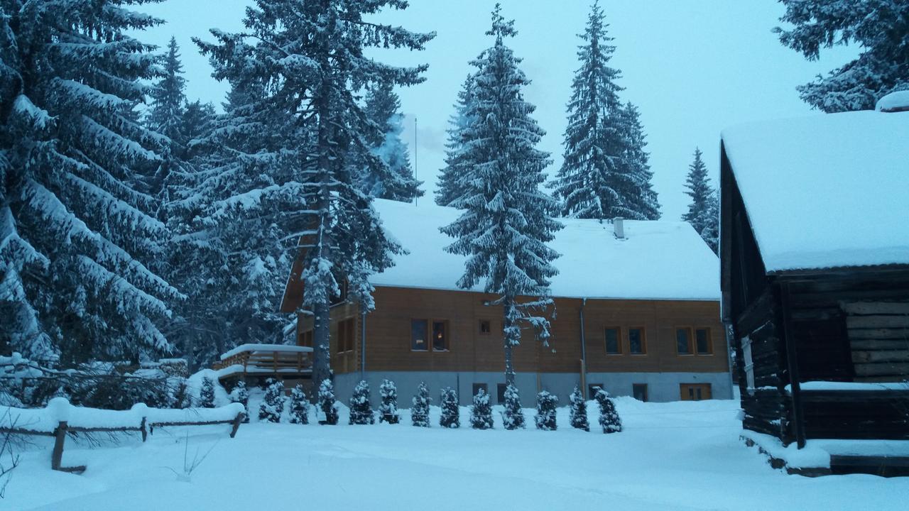 Bed and Breakfast Mofetta Panzio Sintimbru-Bai Zewnętrze zdjęcie