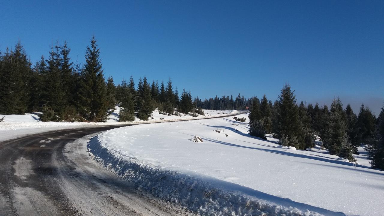 Bed and Breakfast Mofetta Panzio Sintimbru-Bai Zewnętrze zdjęcie