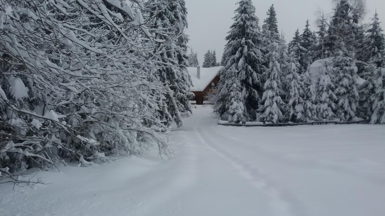 Bed and Breakfast Mofetta Panzio Sintimbru-Bai Zewnętrze zdjęcie