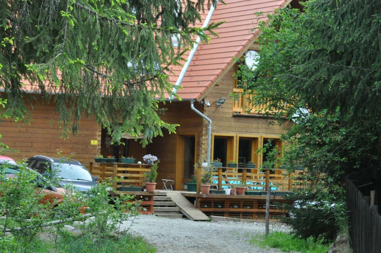 Bed and Breakfast Mofetta Panzio Sintimbru-Bai Zewnętrze zdjęcie